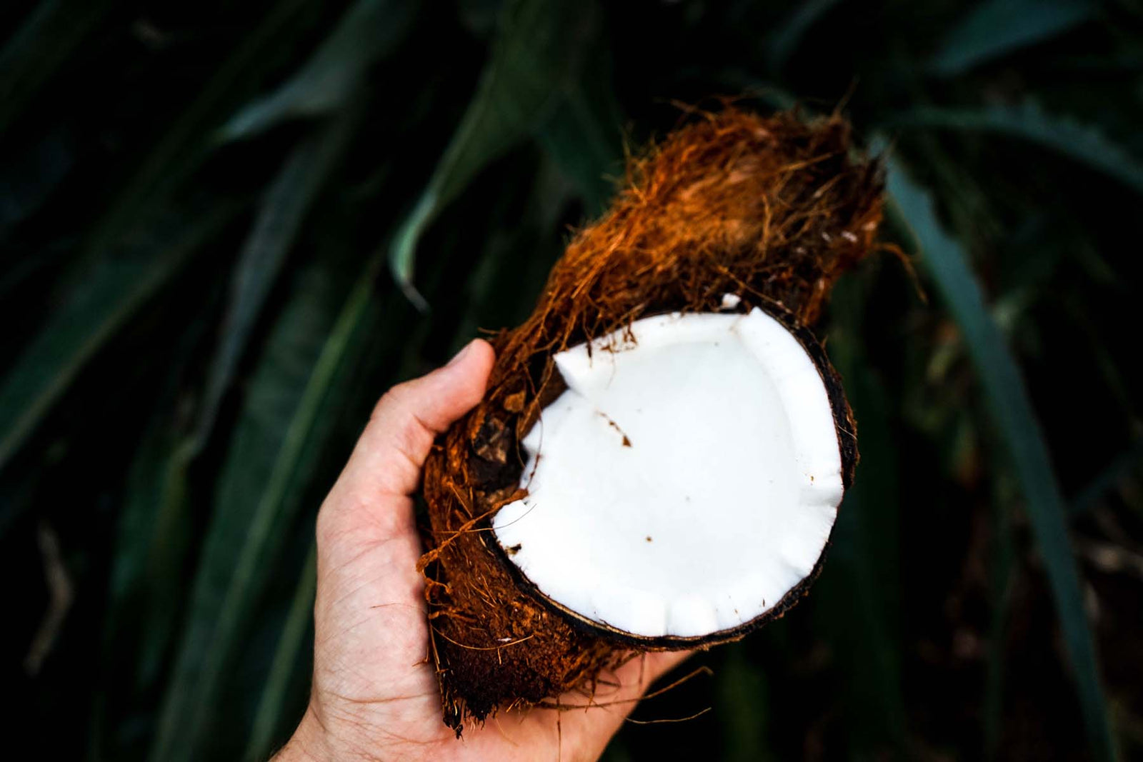 Eat-Smarter-With-Coconut